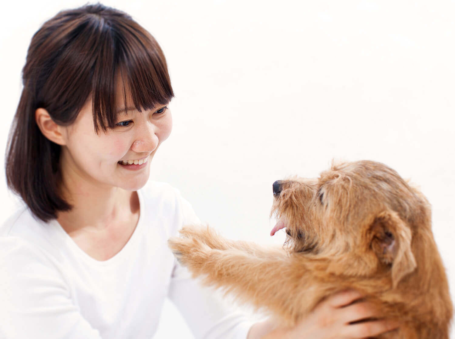 カウンセリング｜ハッピーベルのトリミング