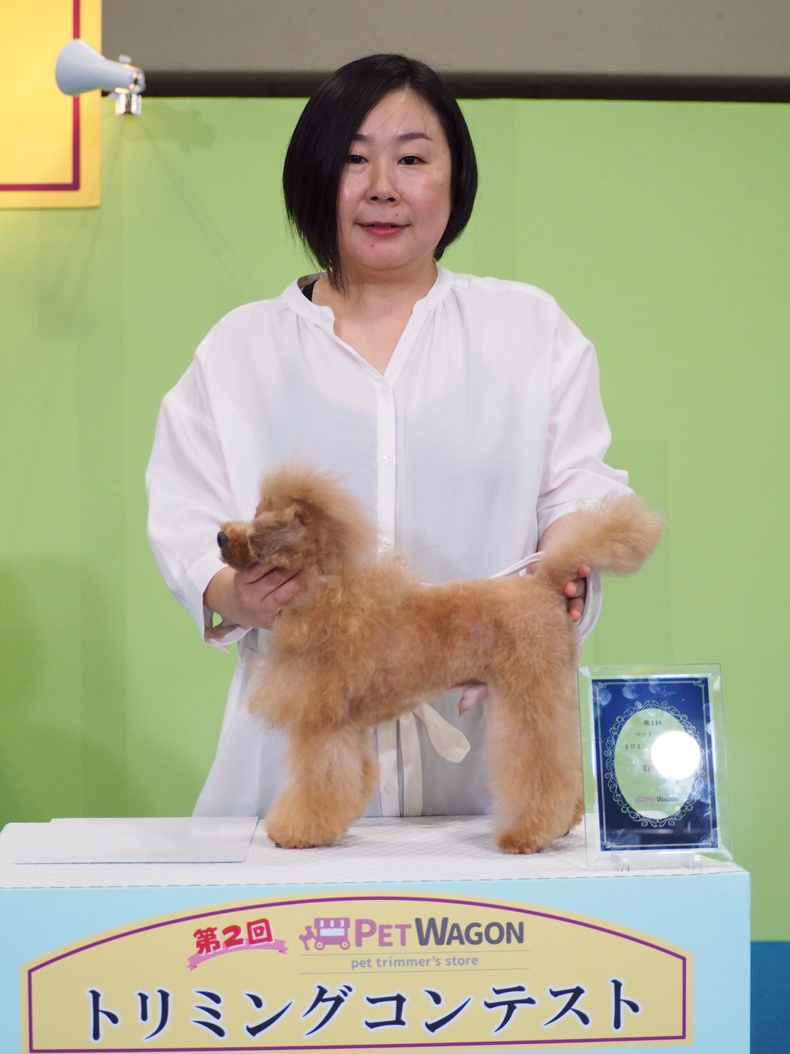 松戸テラス_入山マネージャー_2019年8月28日_第2回PET WAGON トリミングコンテスト_フリースタイル部門_ビューティートリミング 敢闘賞