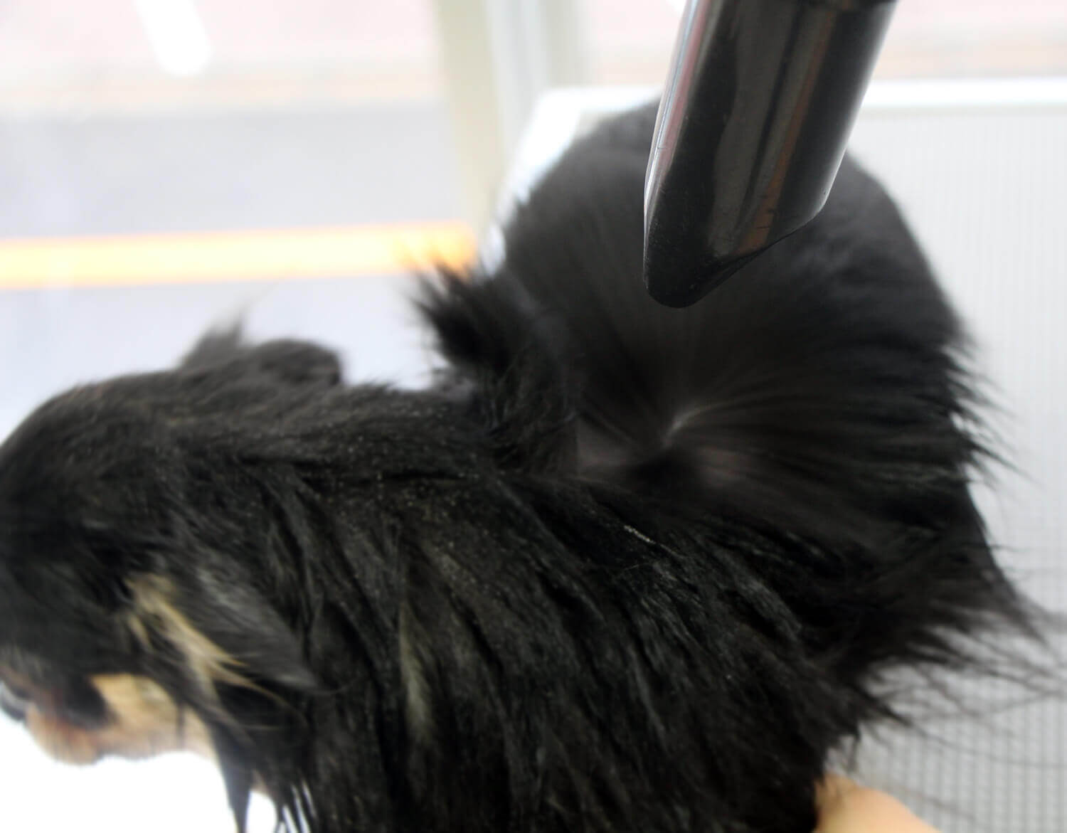 ブロー｜ハッピーベルのトリミング