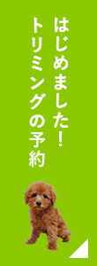 トリミングの予約はじめました!