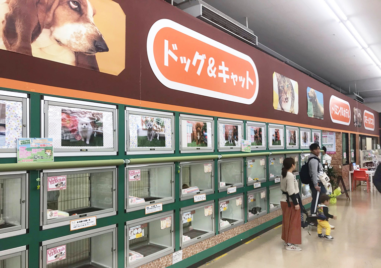 ペットプラザ 市川原木店