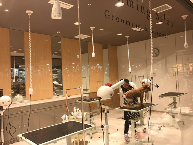 エステカーサ 幕張店