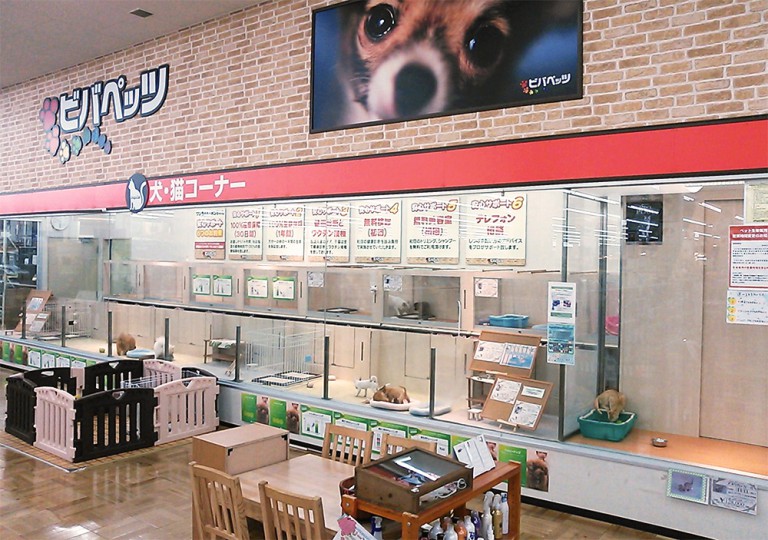 ハッピーベル ビバペッツちはら台店