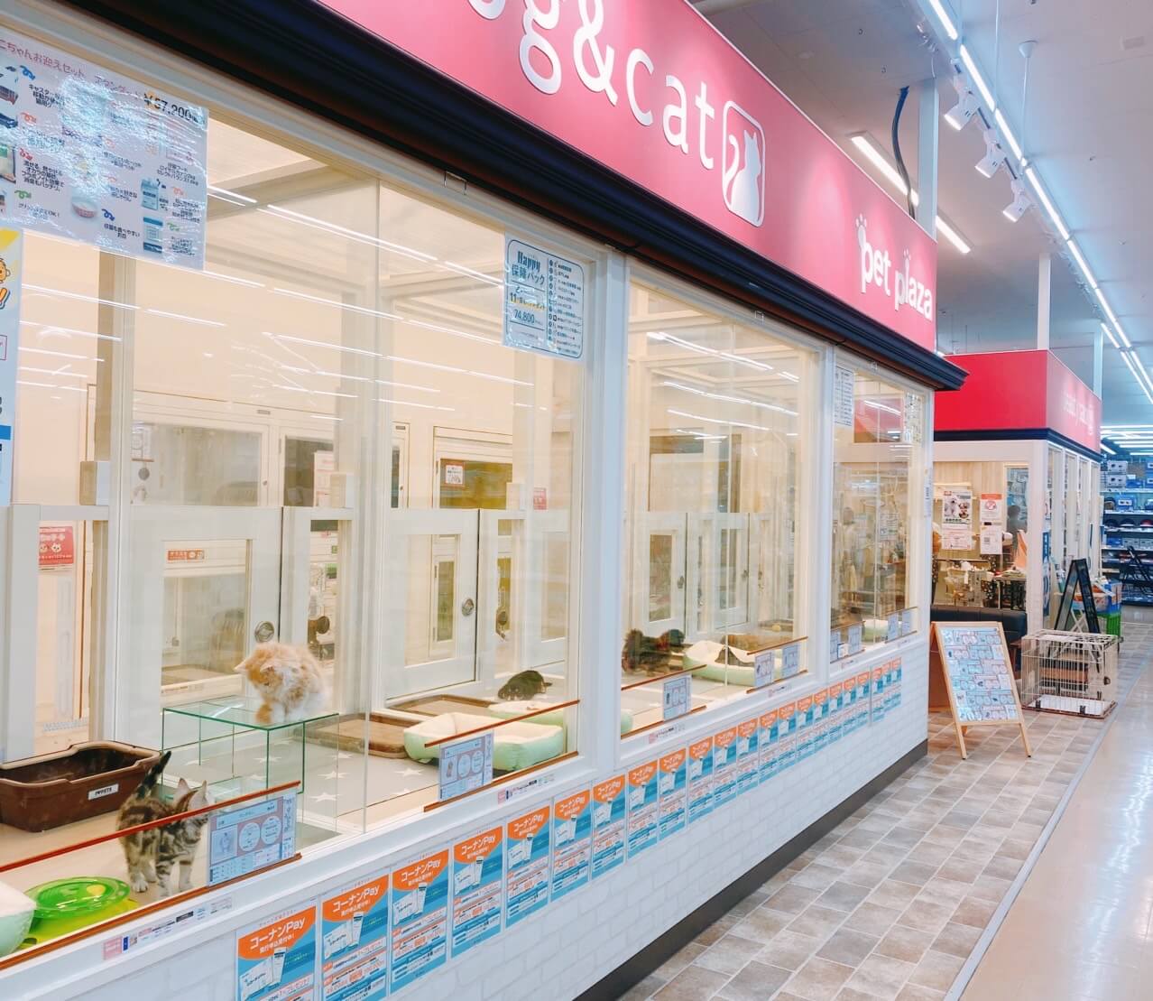 ペットプラザ 江東深川店