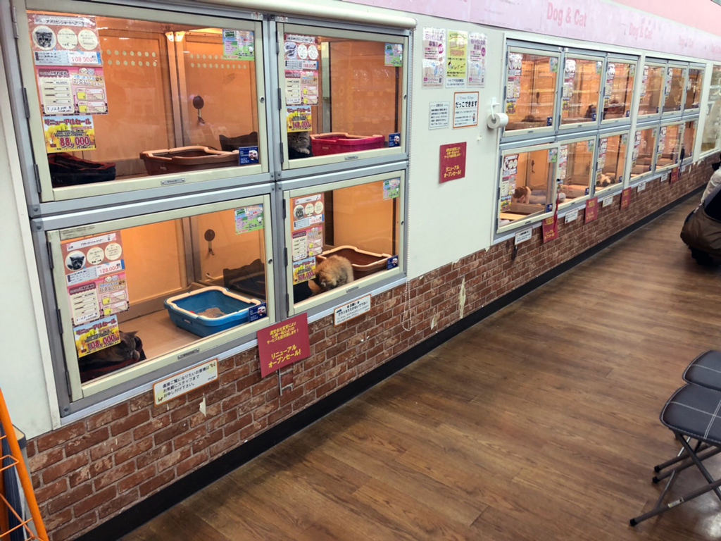 ペットプラザ 吉川栄町店