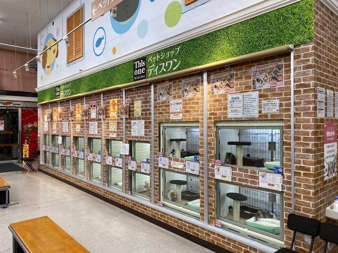 ディスワン 湘南平塚店