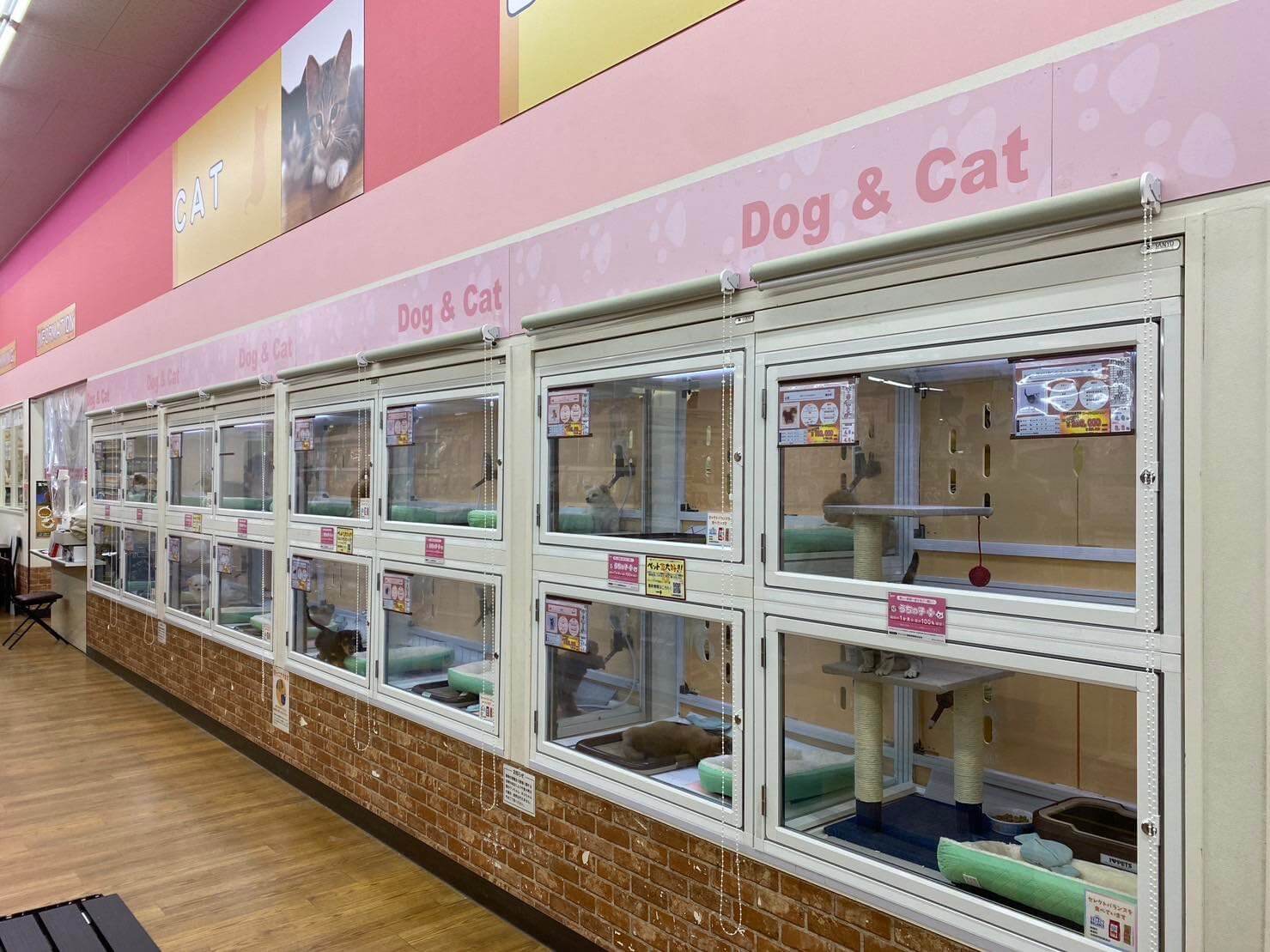 ハッピーベル ペットプラザ港北インター店