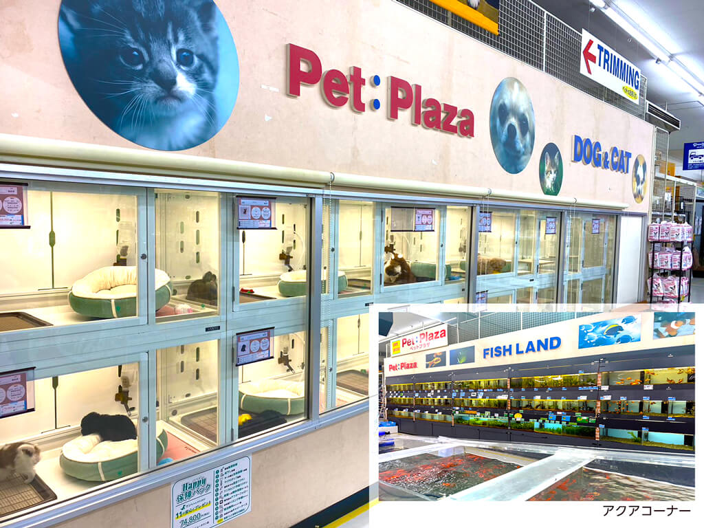 ハッピーベル ペットプラザ港北ニュータウン店