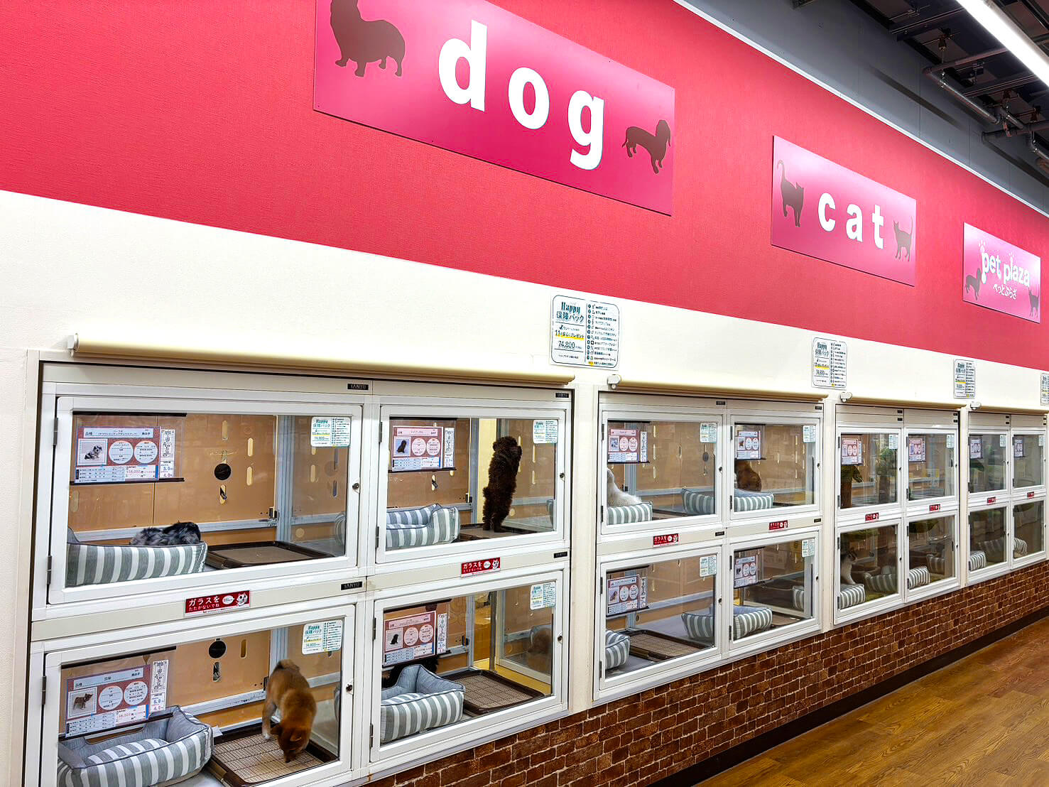 ペットプラザ 川崎小向店